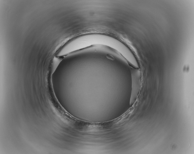 X0000091580154200709101026