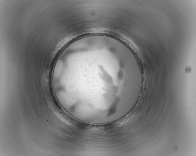 X0000091580155200709101026