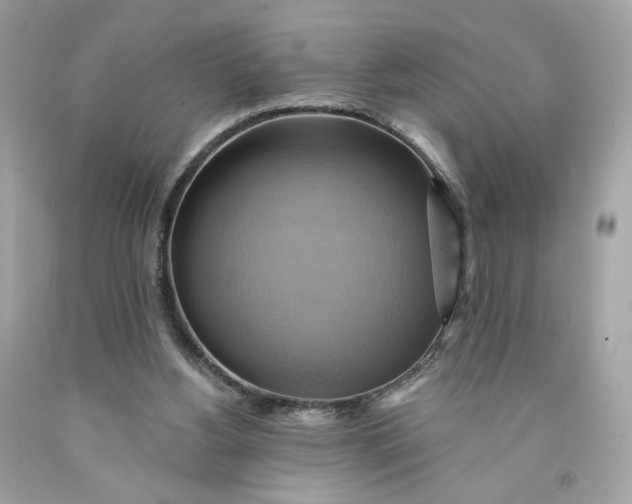 X0000091580156200709101026