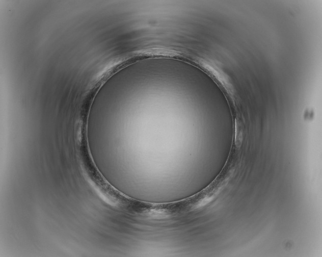 X0000091580157200709101026