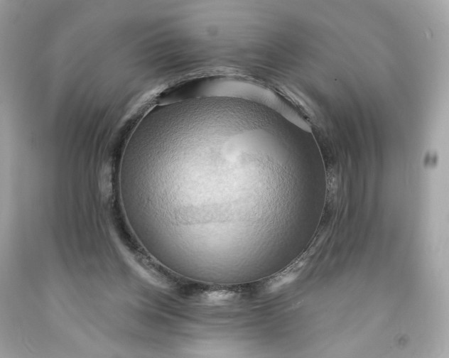 X0000091580158200709101026