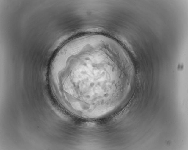 X0000091580159200709101026