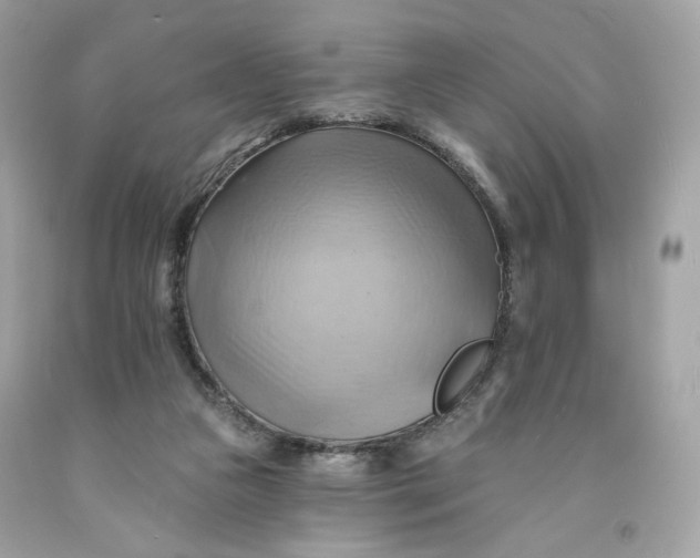 X0000091580161200709101026