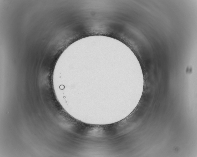 X0000091580162200709101026