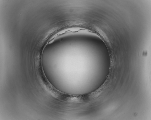 X0000091580163200709101027