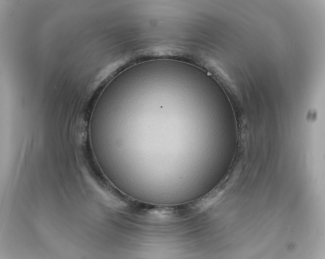 X0000091580164200709101027