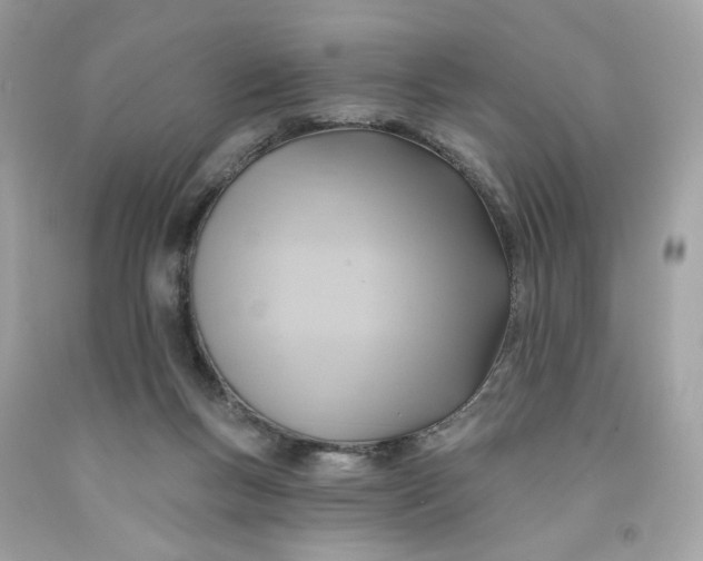 X0000091580167200709101027