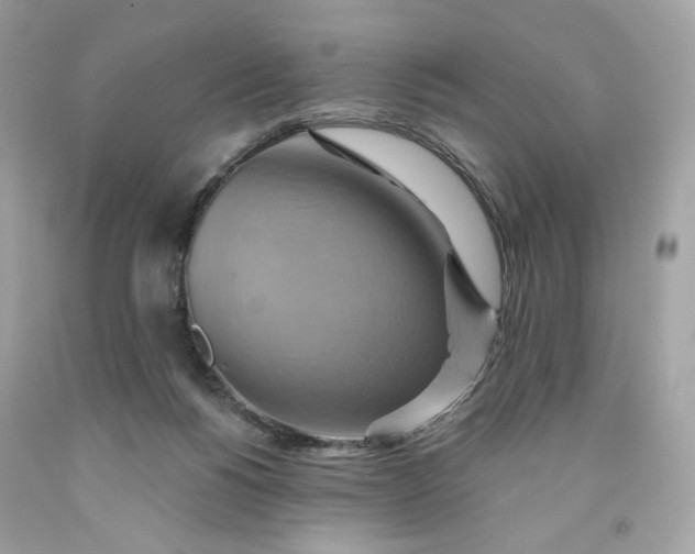 X0000091580168200709101027