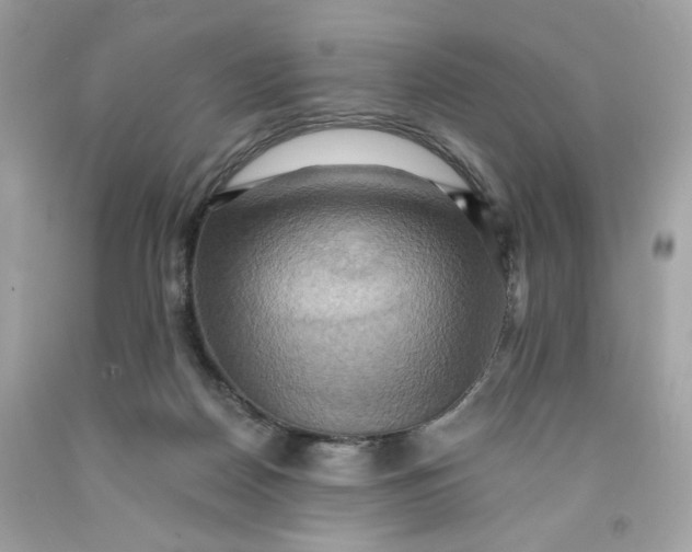 X0000091580170200709101027