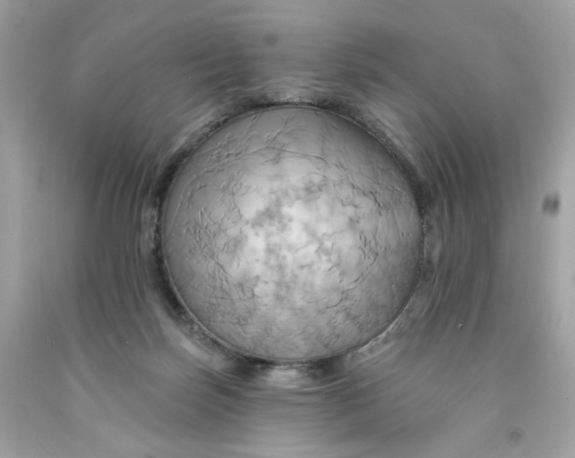 X0000091580171200709101027