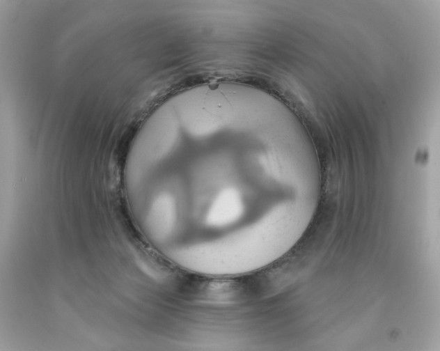 X0000091580173200709101027