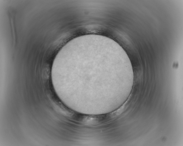 X0000091580174200709101027