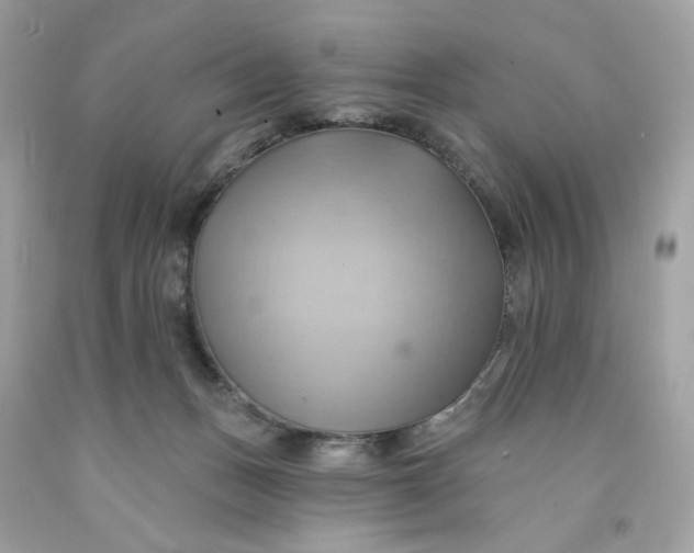 X0000091580175200709101027