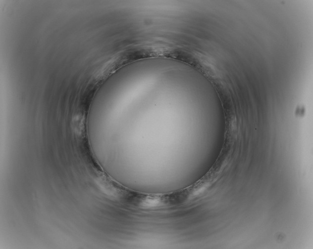 X0000091580177200709101027