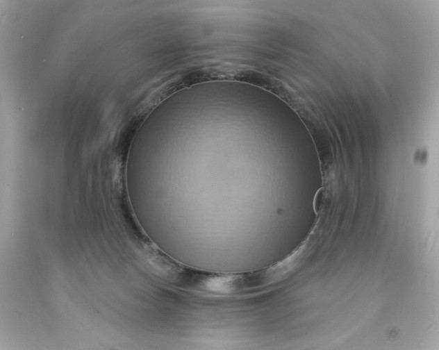 X0000091580178200709101027