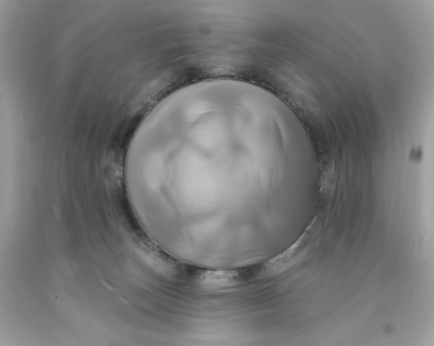 X0000091580179200709101027