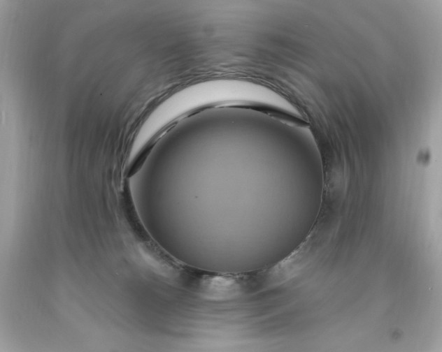 X0000091580180200709101027