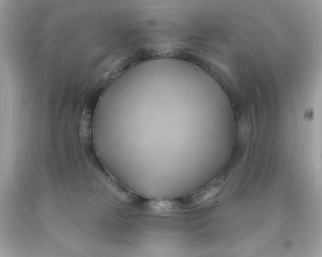 X0000091580181200709101027