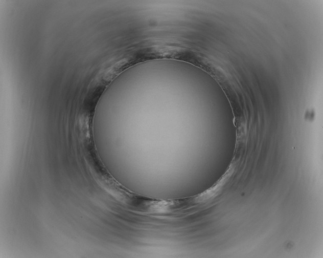 X0000091580182200709101027