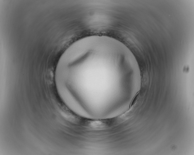 X0000091580183200709101027