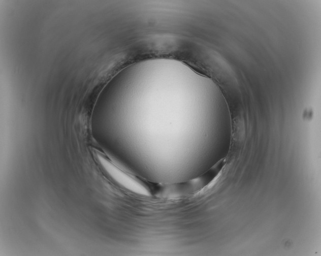 X0000091580184200709101027