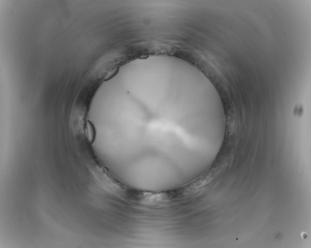 X0000091580185200709101027