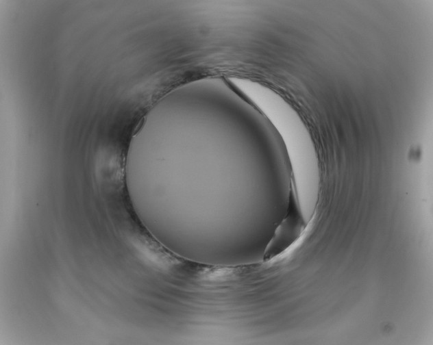 X0000091580186200709101027