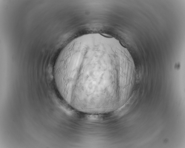 X0000091580187200709101027