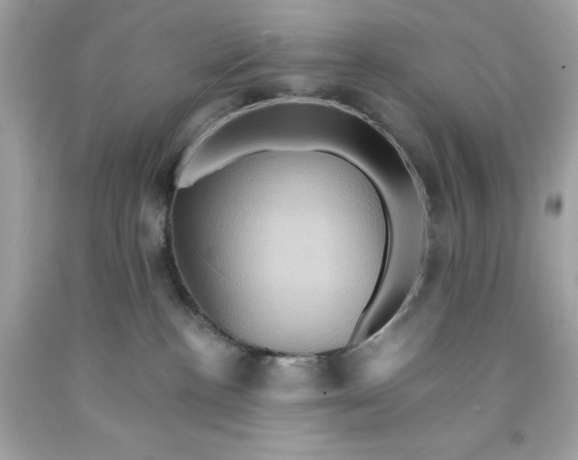 X0000091580188200709101027