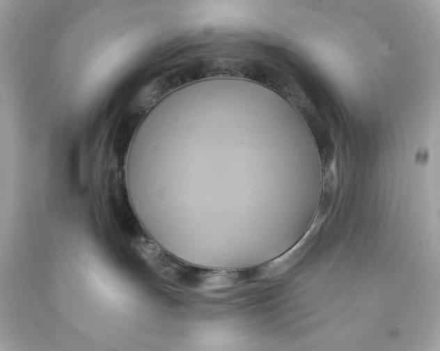 X0000091580191200709101027