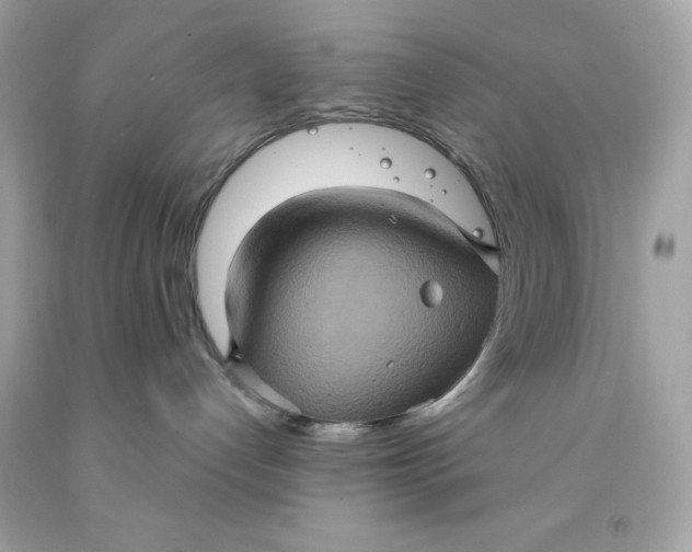 X0000091580192200709101027