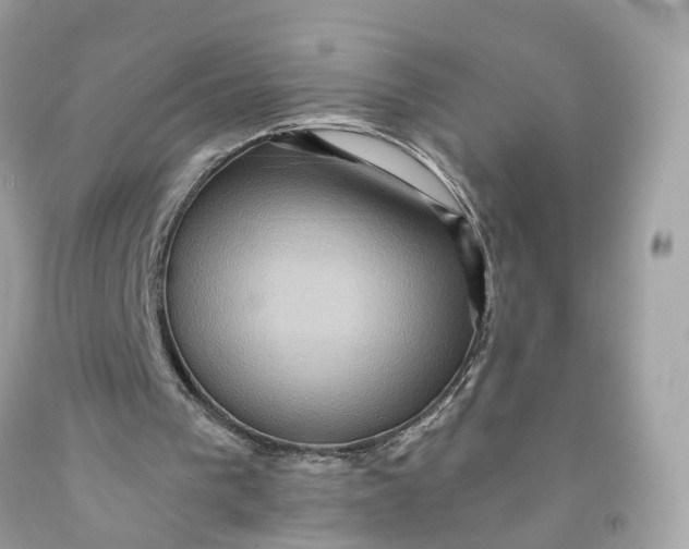 X0000091580193200709101026