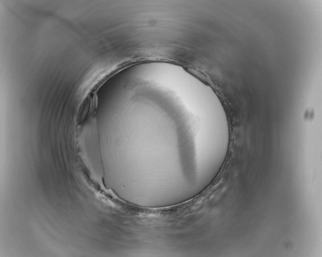 X0000091580194200709101026