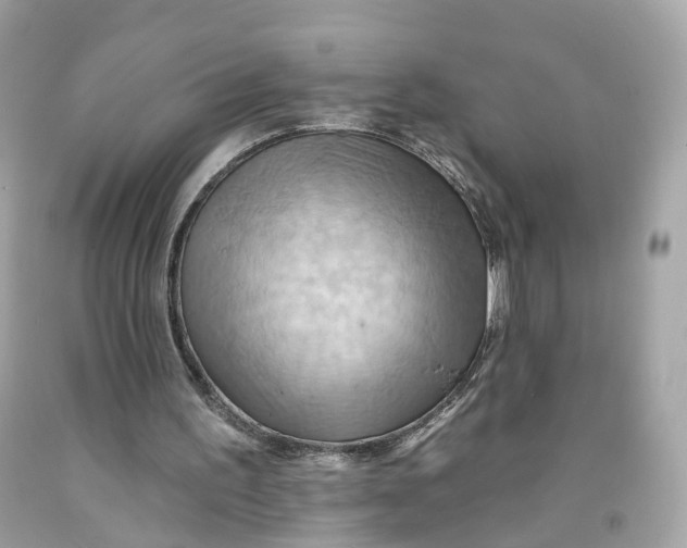 X0000091580195200709101026