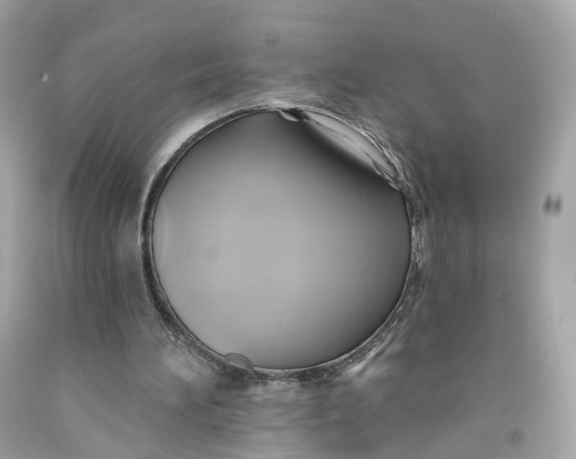 X0000091580196200709101026