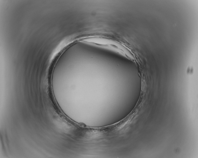 X0000091580198200709101026