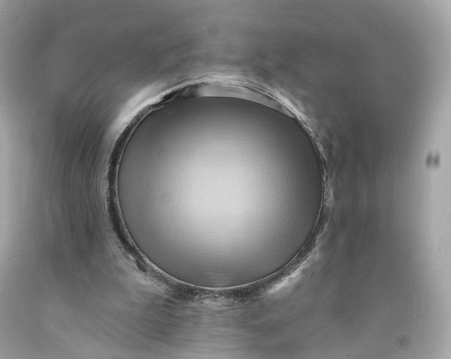 X0000091580199200709101026