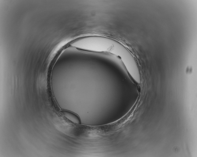 X0000091580200200709101026