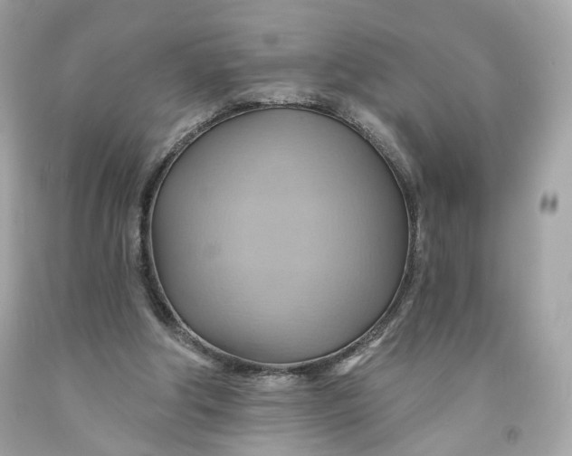 X0000091580202200709101026