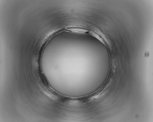 X0000091580203200709101026