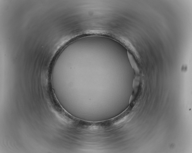 X0000091580204200709101026