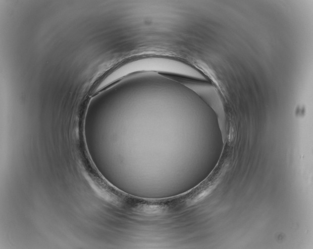 X0000091580205200709101026