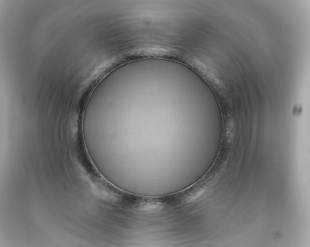 X0000091580206200709101026