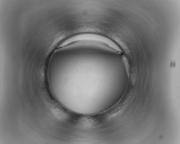 X0000091580207200709101026