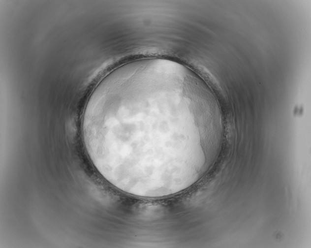 X0000091580208200709101026