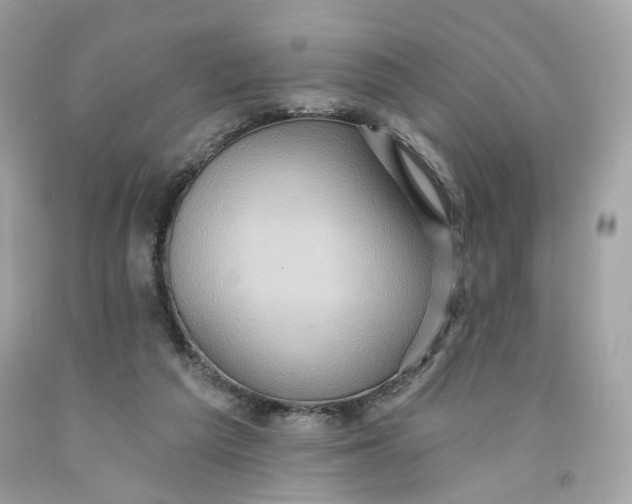 X0000091580209200709101026