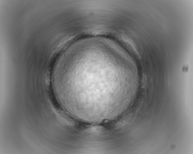 X0000091580210200709101026