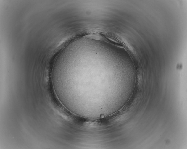 X0000091580211200709101026