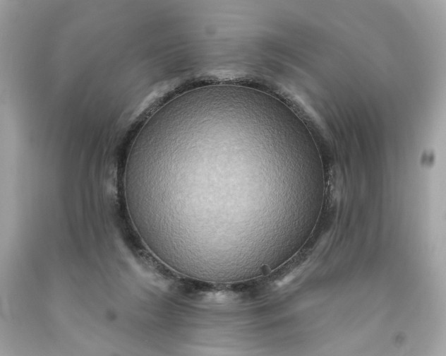 X0000091580212200709101026