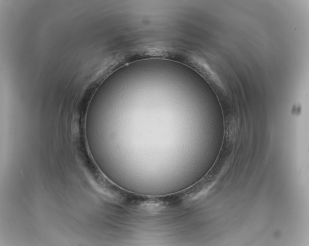 X0000091580213200709101026